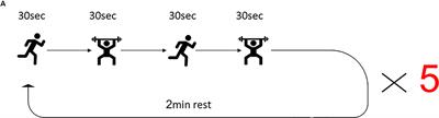 The Effects of High-intensity Functional Training (HIFT) on Spatial Learning, Visual Pattern Separation and Attention Span in Adolescents